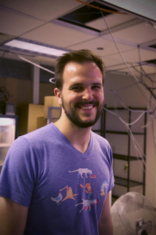 Michael Lippert