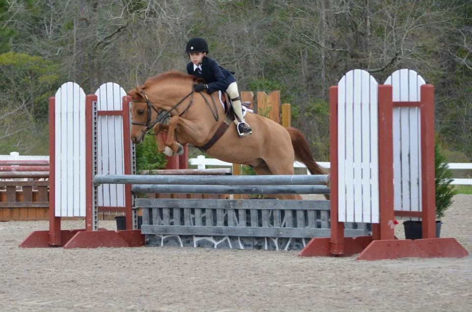 Clifford - SOLD Clifford is a 12yo Welsh X medium pony. Cliff has numerous championships to his name from Medium Pony Hunters to Mini Stirrup. Cliff does it all. He is a good mover, GREAT jumper, and has a beautiful conformation. Cliff is safe for kids and takes a bit of leg to get going.