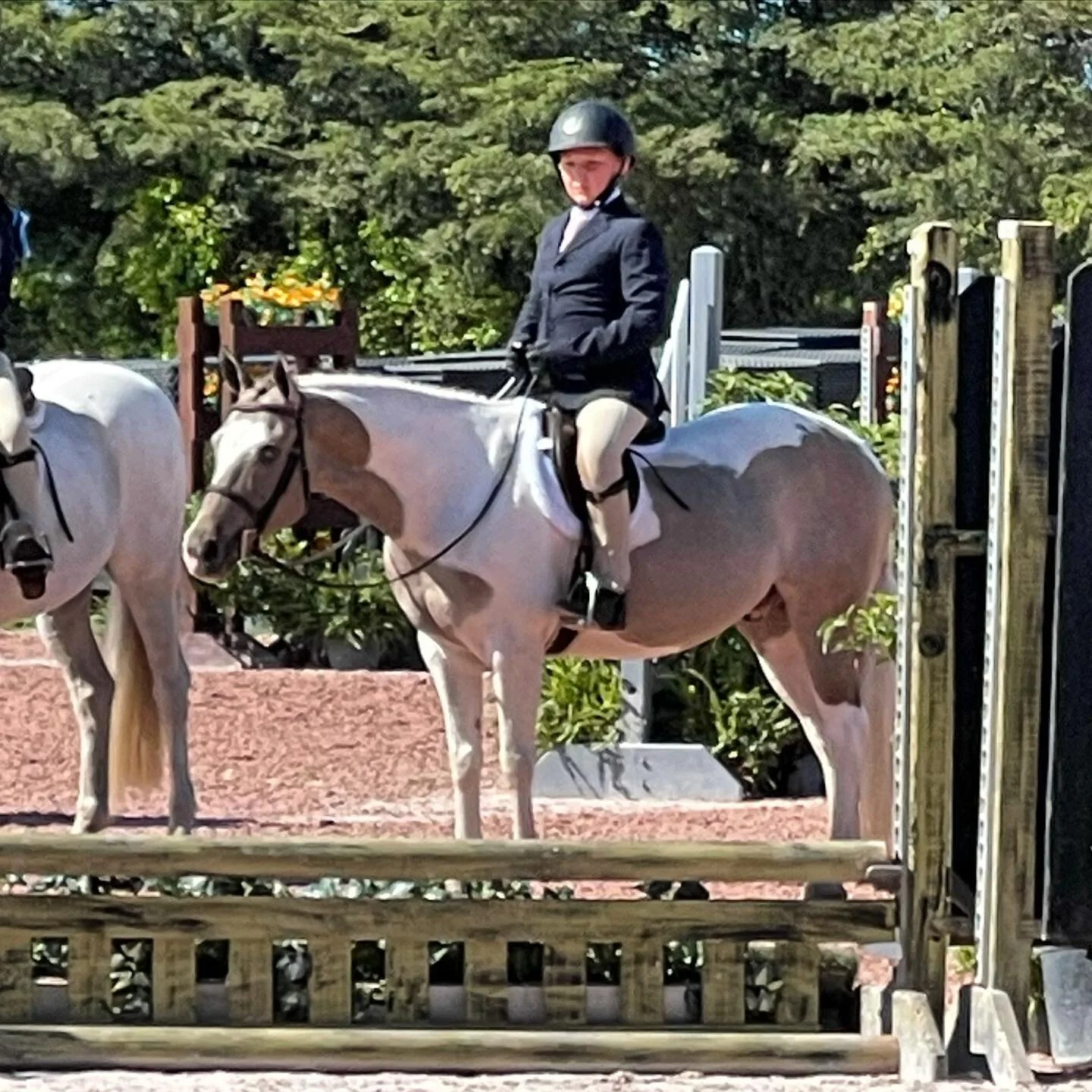 Nate Broom and Pandemonium waiting for the ribbons to be called in this weekends&rsquo; short stirrup hunters! @akboehme