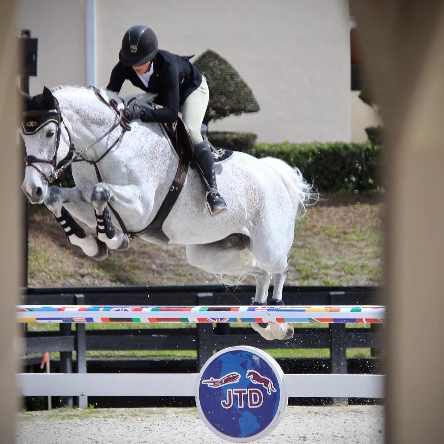 Congratulations to all of our riders today at WEF!! 

Kim Beattie was clear on both Charmander and Quattro Royale Z in the High Adult Jumpers to place 2 and 12! 🌟🌟

Tim Zhao&rsquo;s Dermie sped to the win in today&rsquo;s open 1.30🎉

Lauren Shrem 