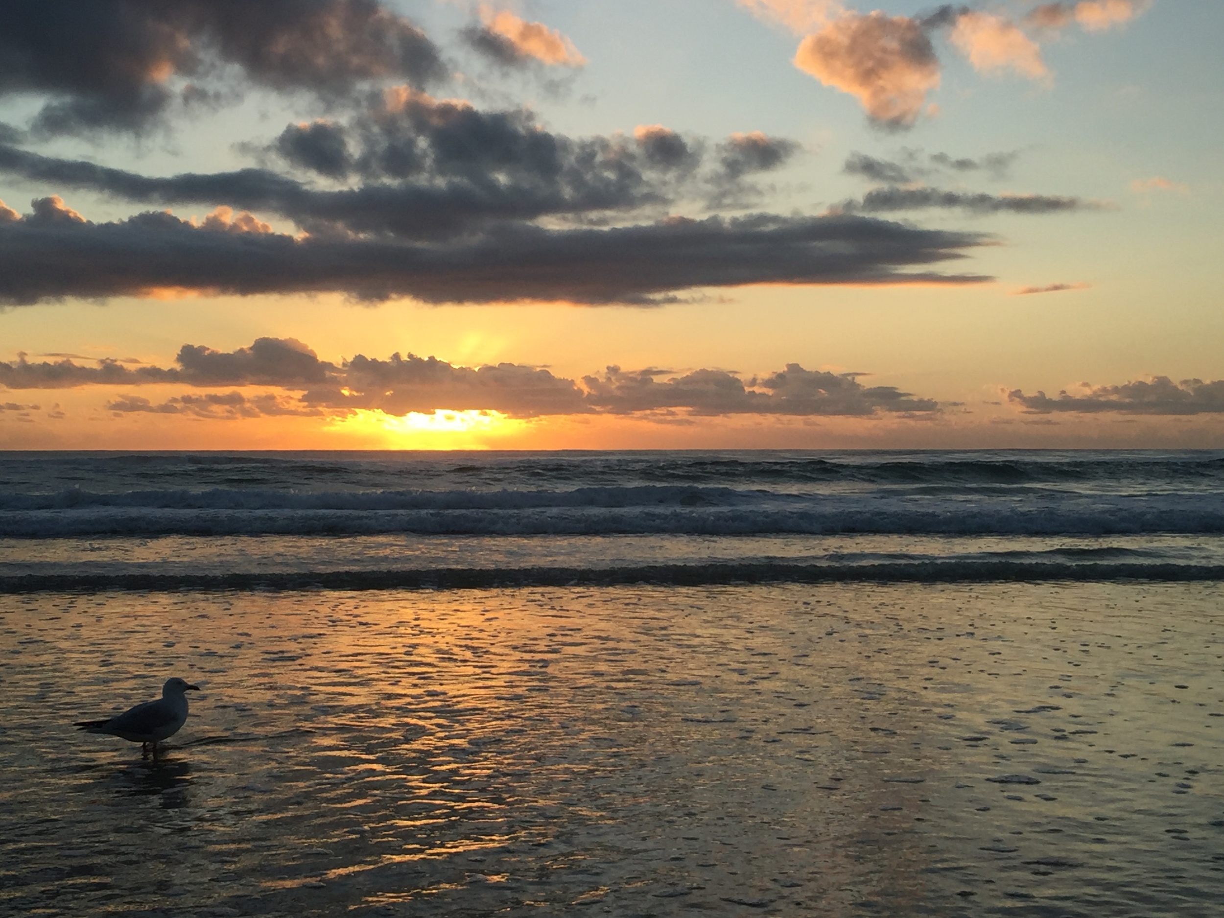 Surfers Paradise Sunset