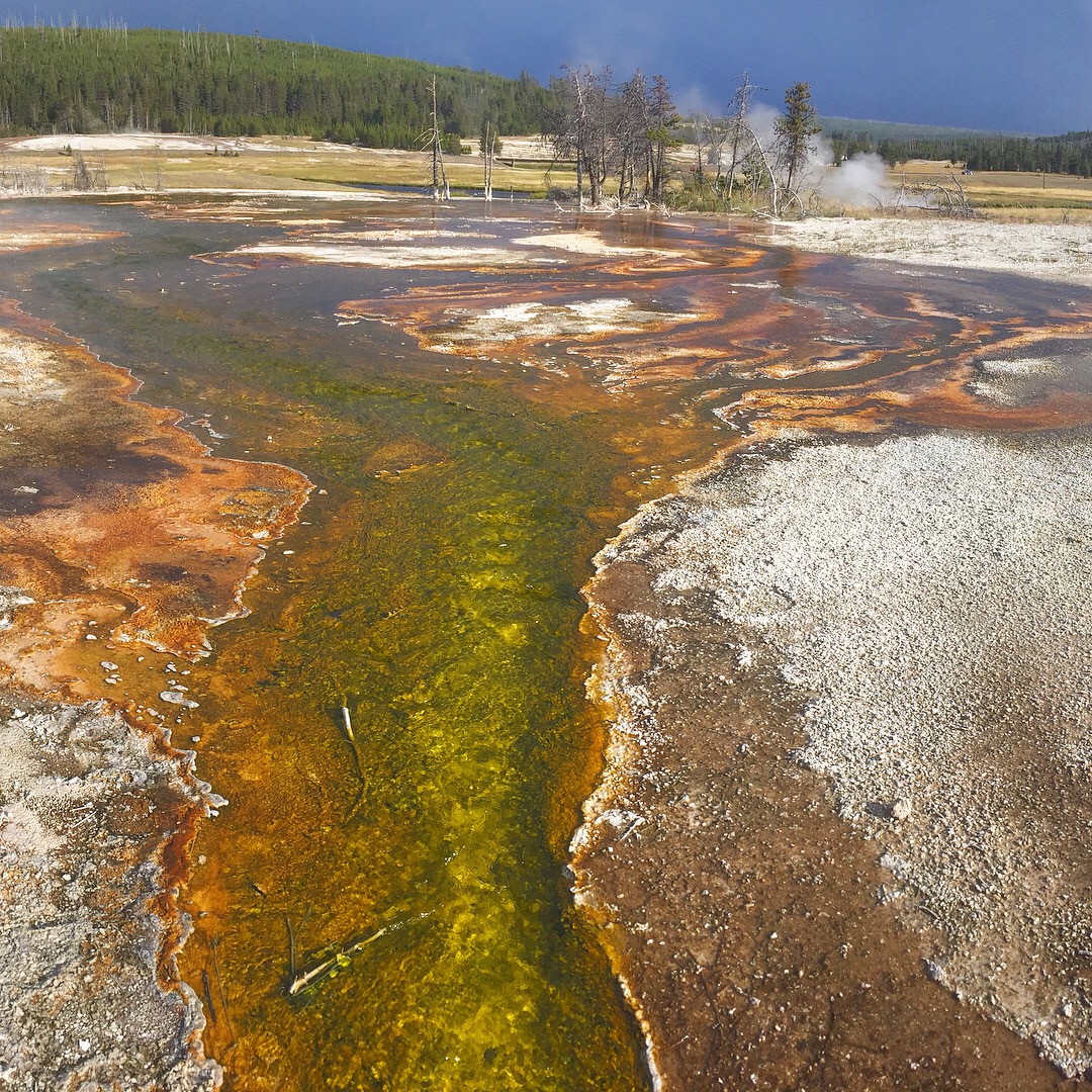 Yellowstone National Park