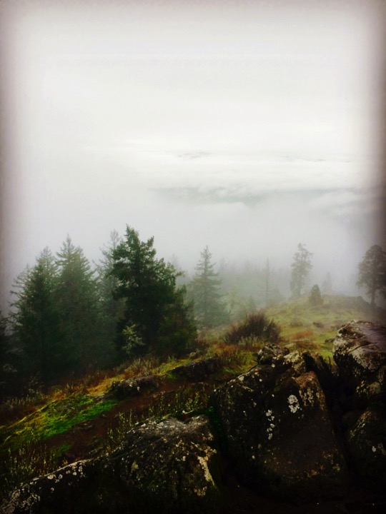 Mountain Top