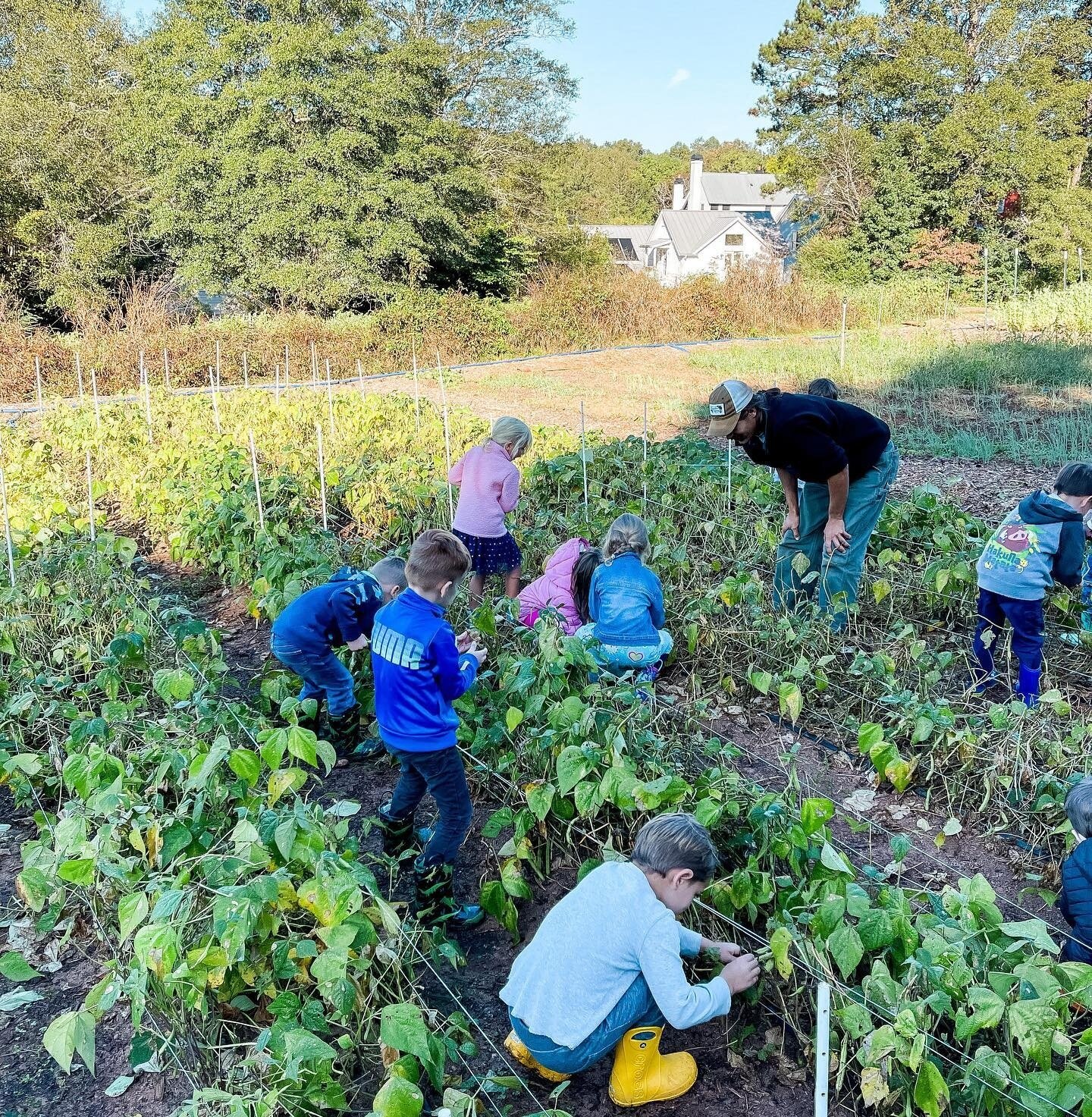 &ldquo;Why Acton?&rdquo; is all about Serenbe. At Serenbe, Acton gets to experience beautiful hiking trails, Serenbe Farms, wellness, stillness, nature, and all the wonderful businesses our community has to offer. Learners have the opportunity to be 