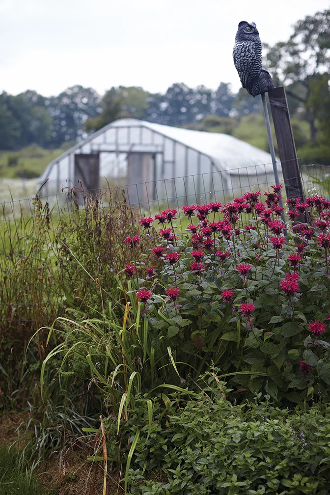 farm_040.jpg
