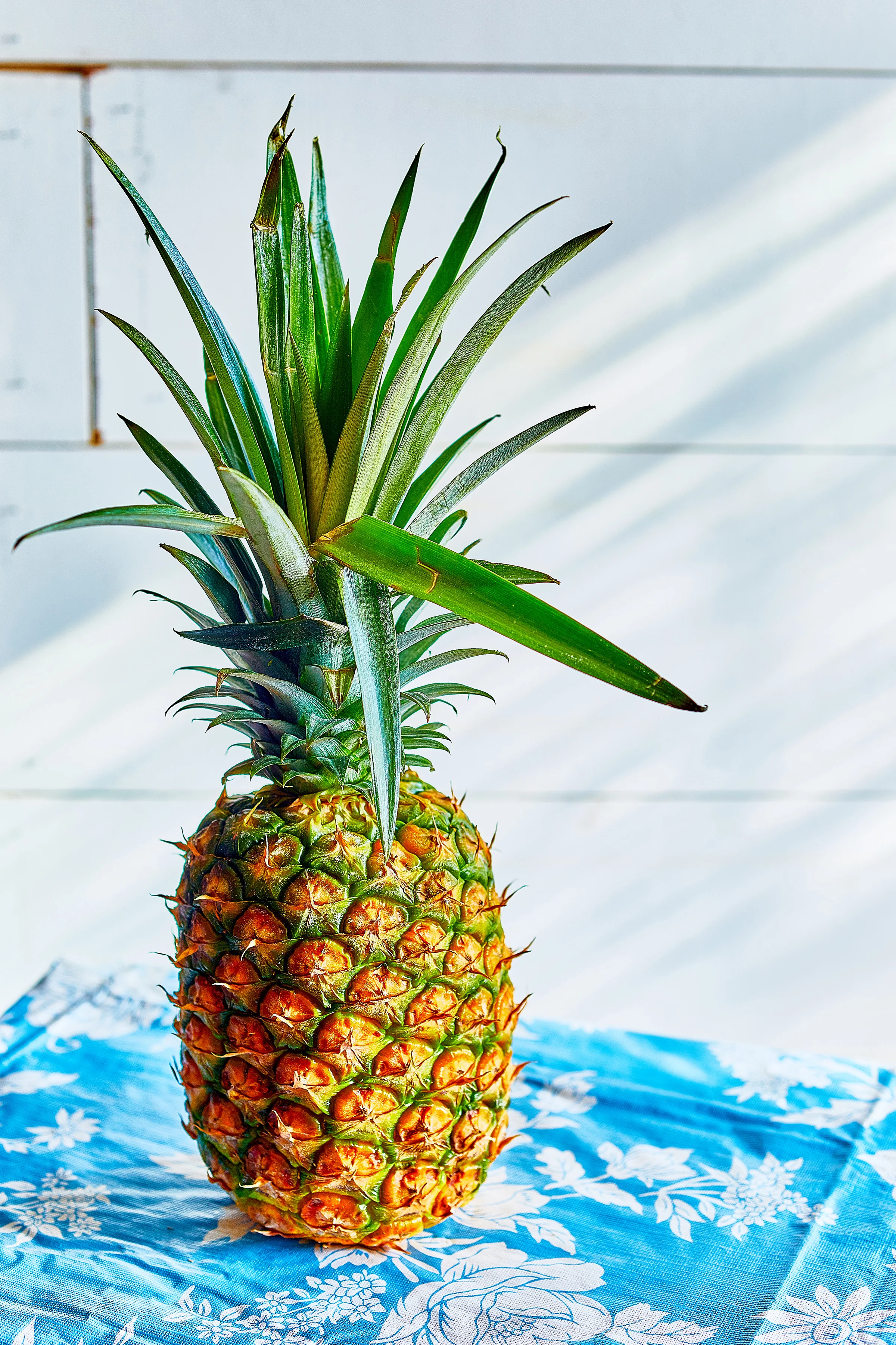 pineapple-test5812.jpg