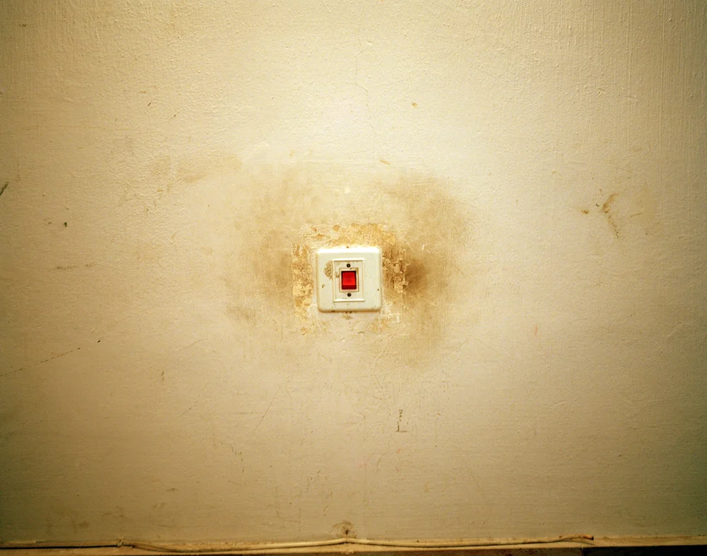 Switch