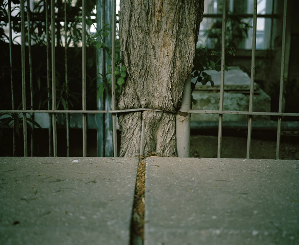 Embedded