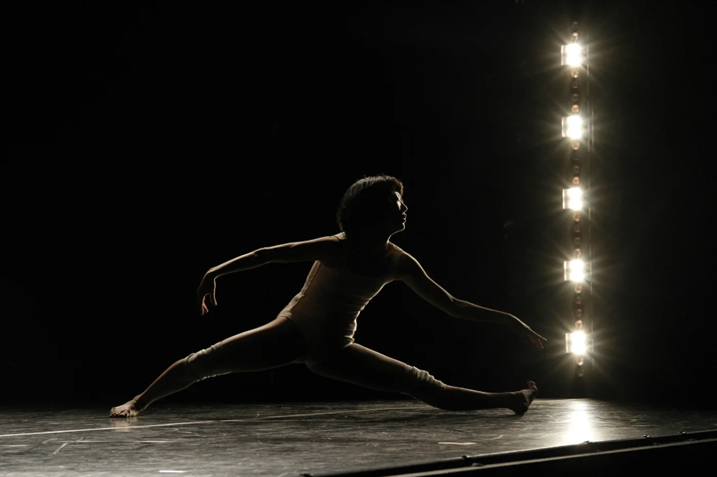 Gallim Dance, Joyce Theatre 2012