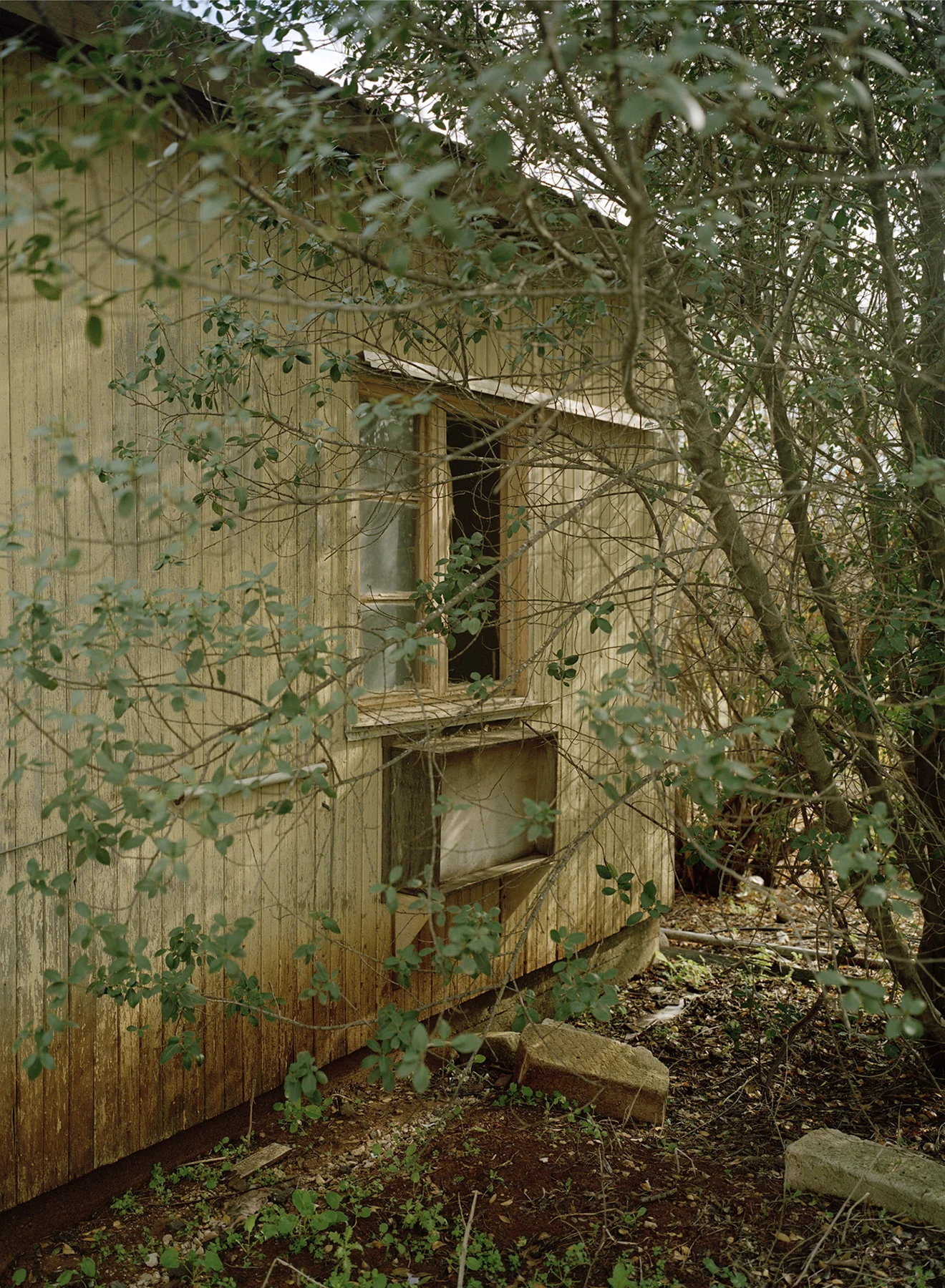 Kibbutz