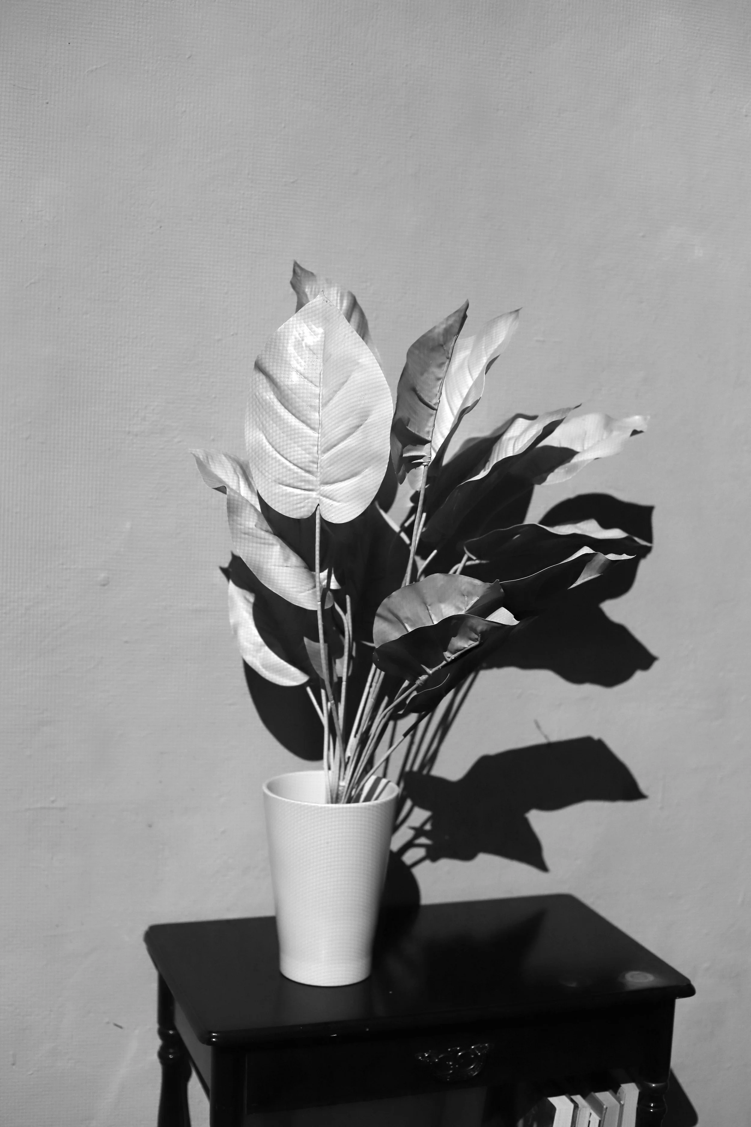 Alte Sachen Collaboration with the video artist Itamar Inbar exhibited at tête Berlin