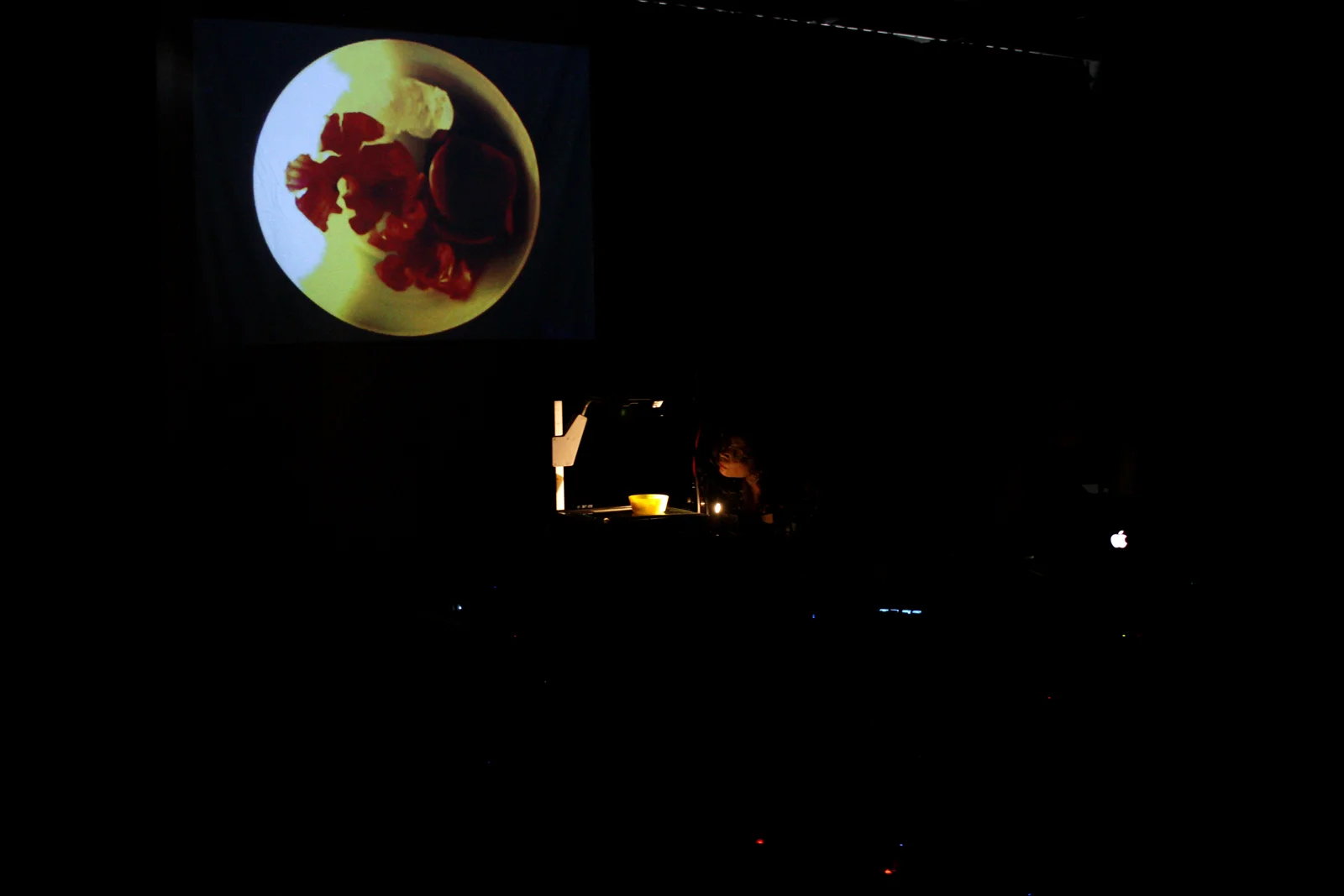 Silhouette 2017 by Roi Weinstein and Stefan Röslmair Shadow of a Truth - co-curated with Adi Yaakov - 48 Stunden Neukölln festival 2017 at Studio Cherie