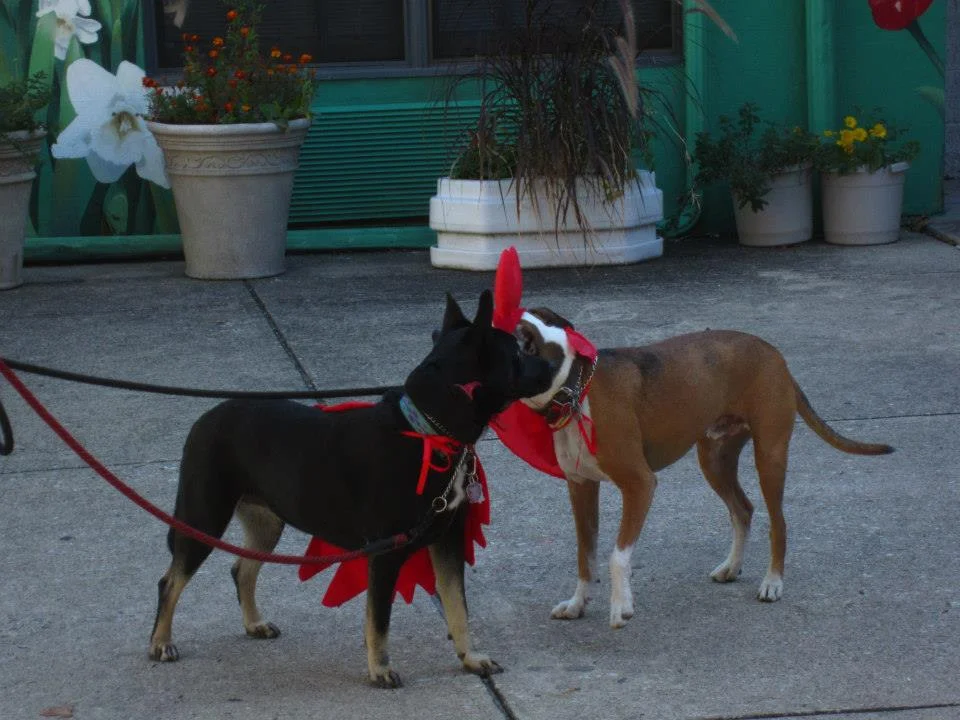 O and T.jpg