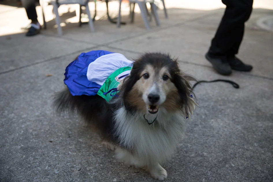 Howl-O-Ween 2017-4894.jpg