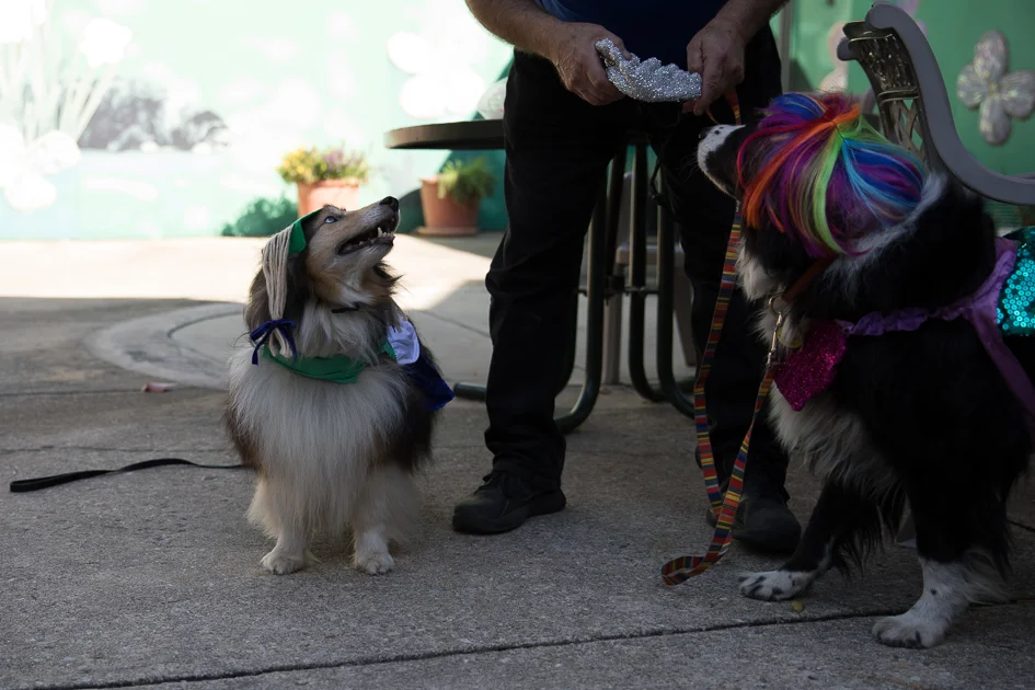 Howl-O-Ween 2017-4898.jpg