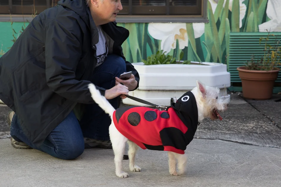 Howl-O-Ween 2017-4909.jpg