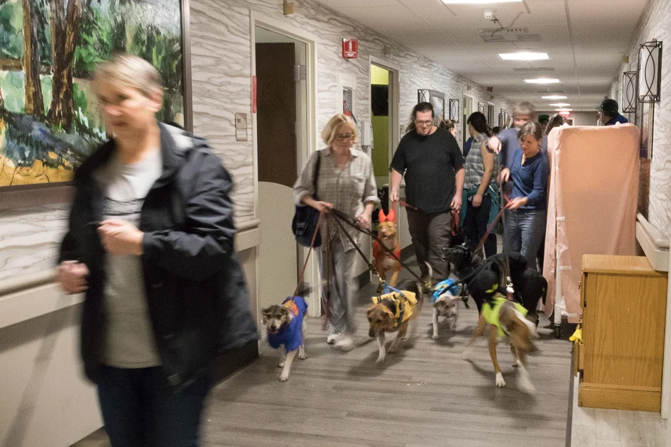 Howl-O-Ween 2017-5048.jpg