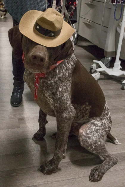 Howl-O-Ween 2017-5159.jpg