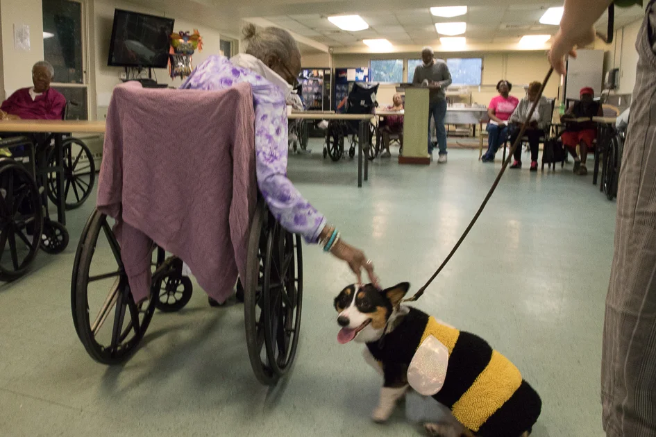 Howl-O-Ween 2017-5267.jpg