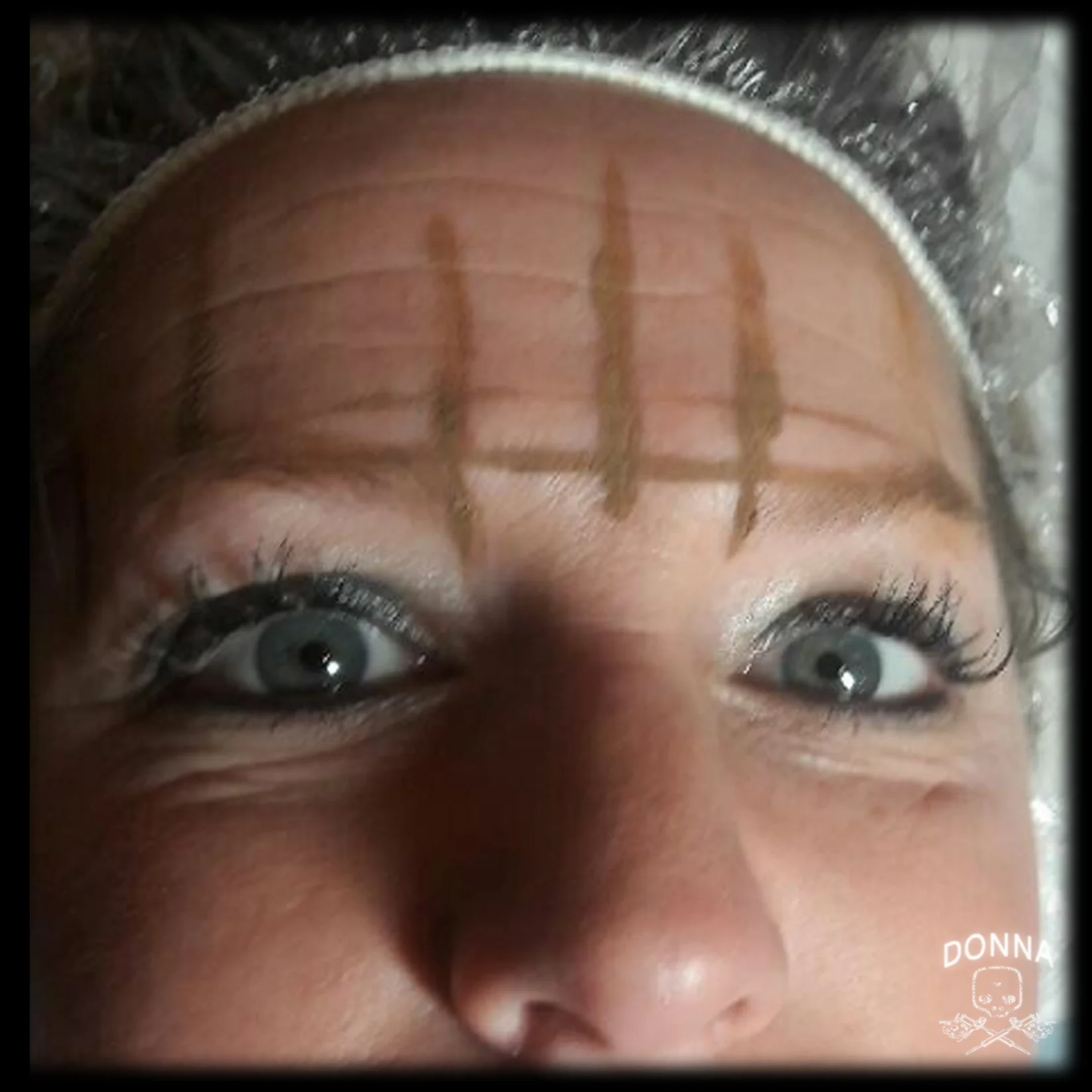 brows10.jpg