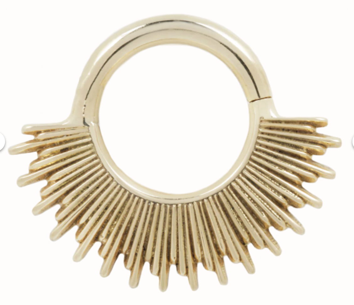 Screenshot 2026-02-01 at 12.50.52 PM.png