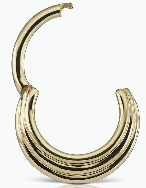 Screenshot 2026-01-31 at 1.22.35 PM.png