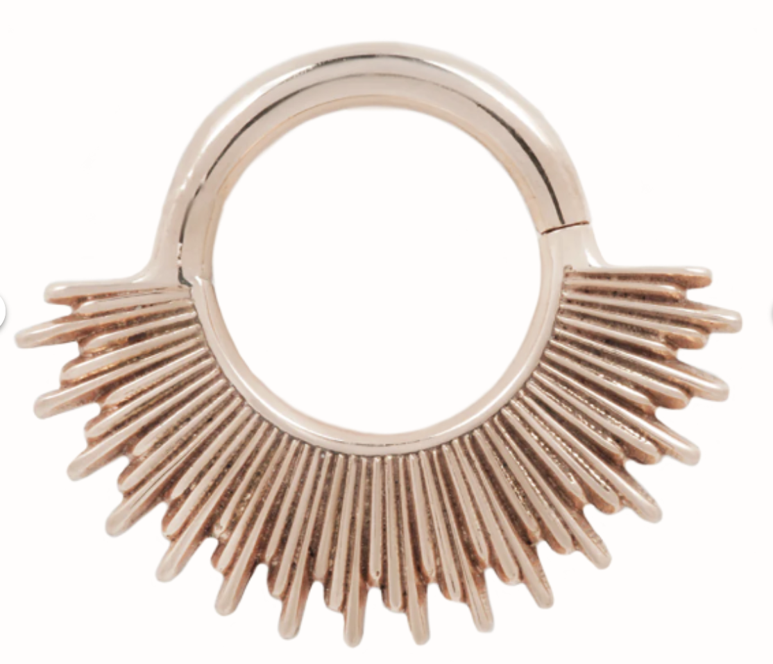 Screenshot 2026-02-01 at 12.52.22 PM.png