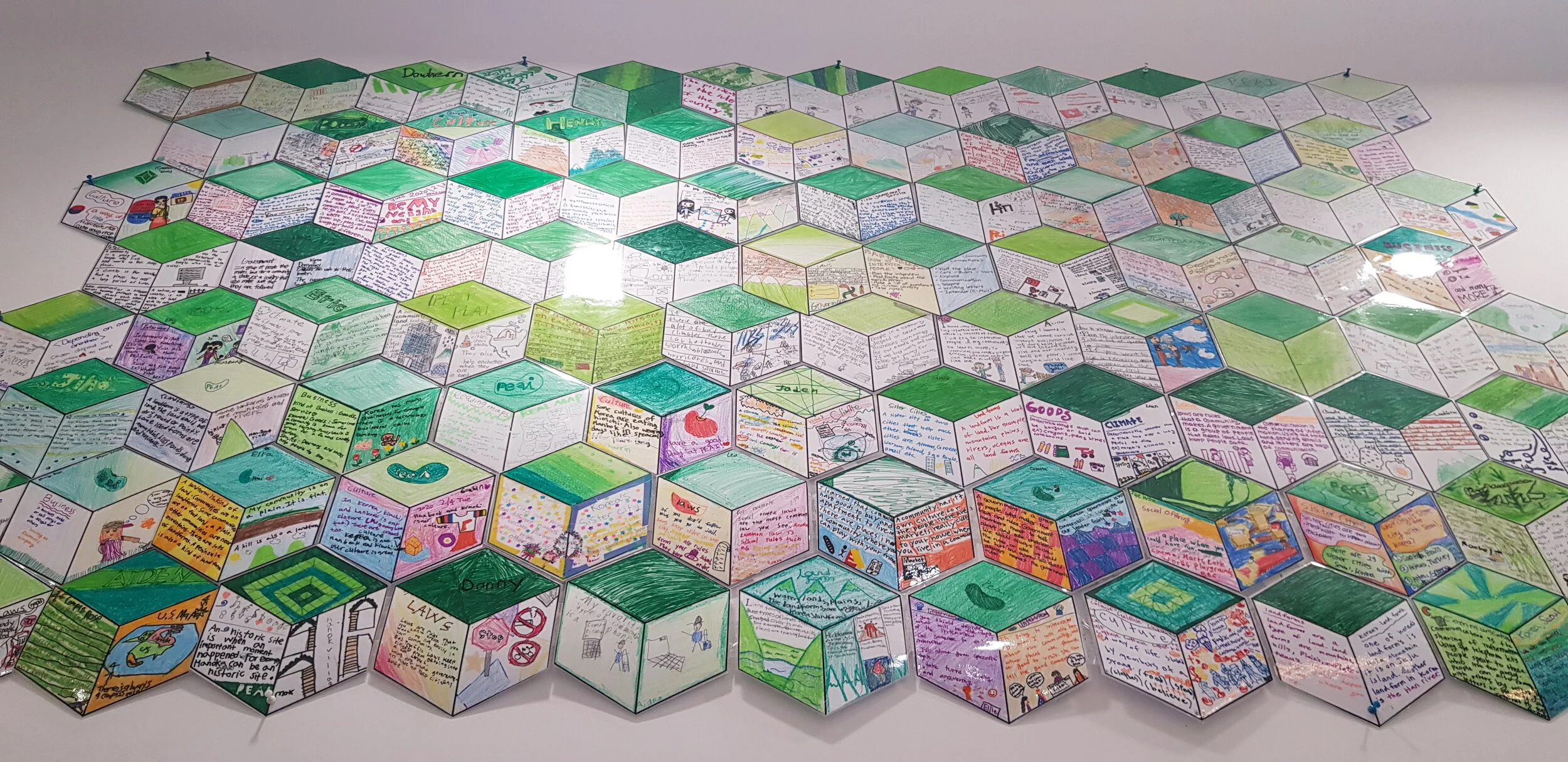 Community Cubes [2nd &amp; 3rd Grade Joint Project]