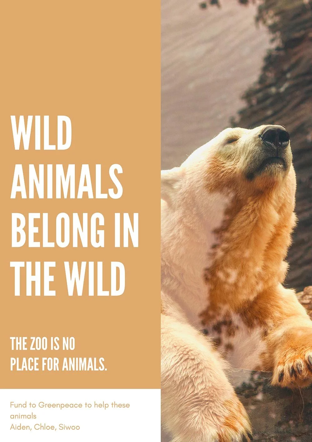 5th Grade Make-A-Difference Project