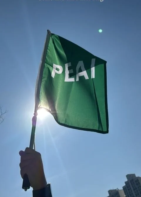 2024 PEAI Amazing Race