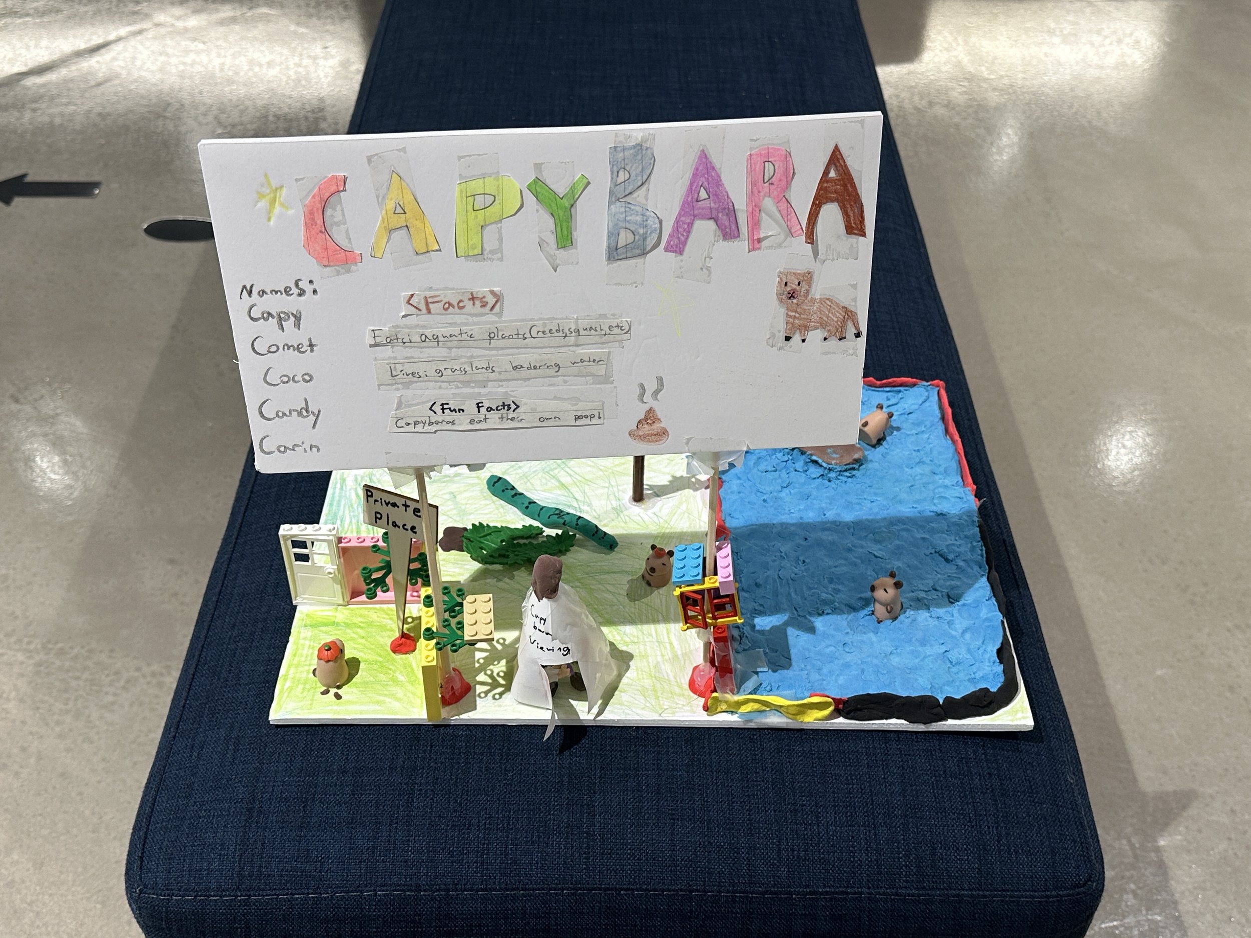 2025 Project Fair - Grade 3 — PEAI