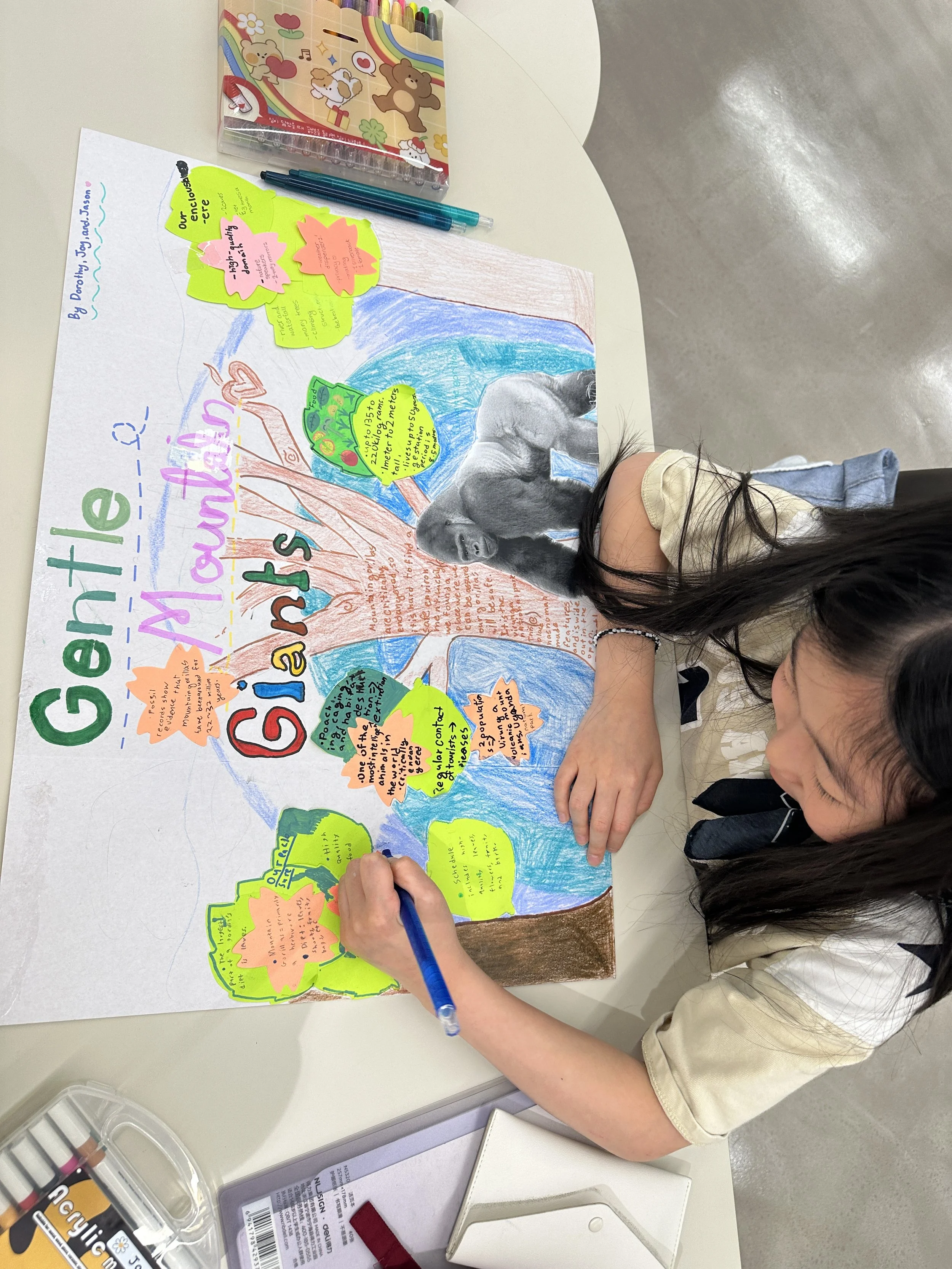 2025 Project Fair - Grade 3 — PEAI
