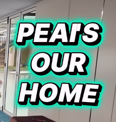 G2 - PEAI'S OUR HOME RAP