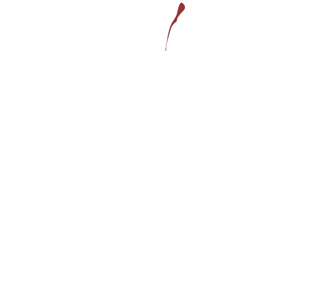 Saveur Catering New Orleans 