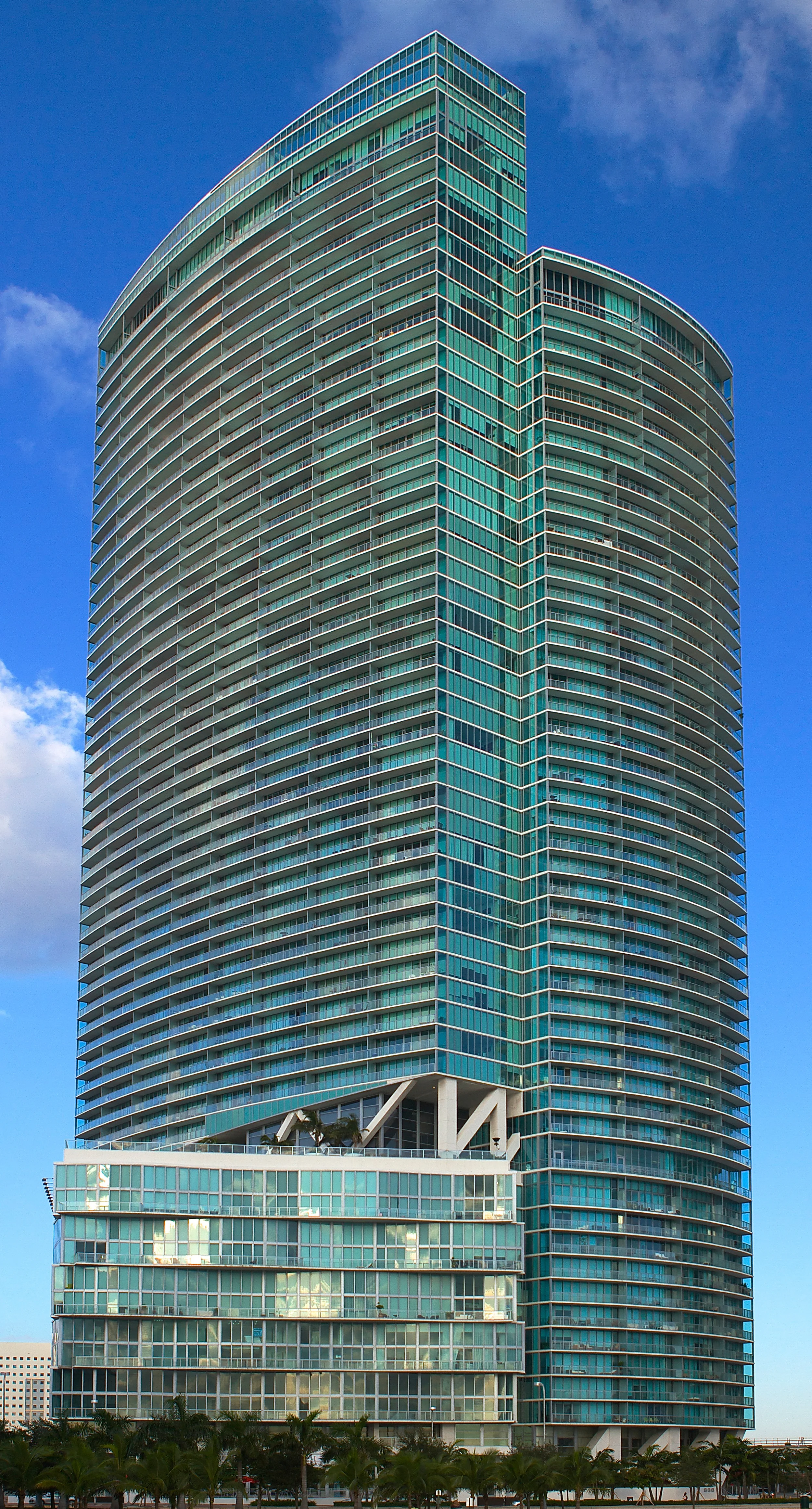 Miami Blue 