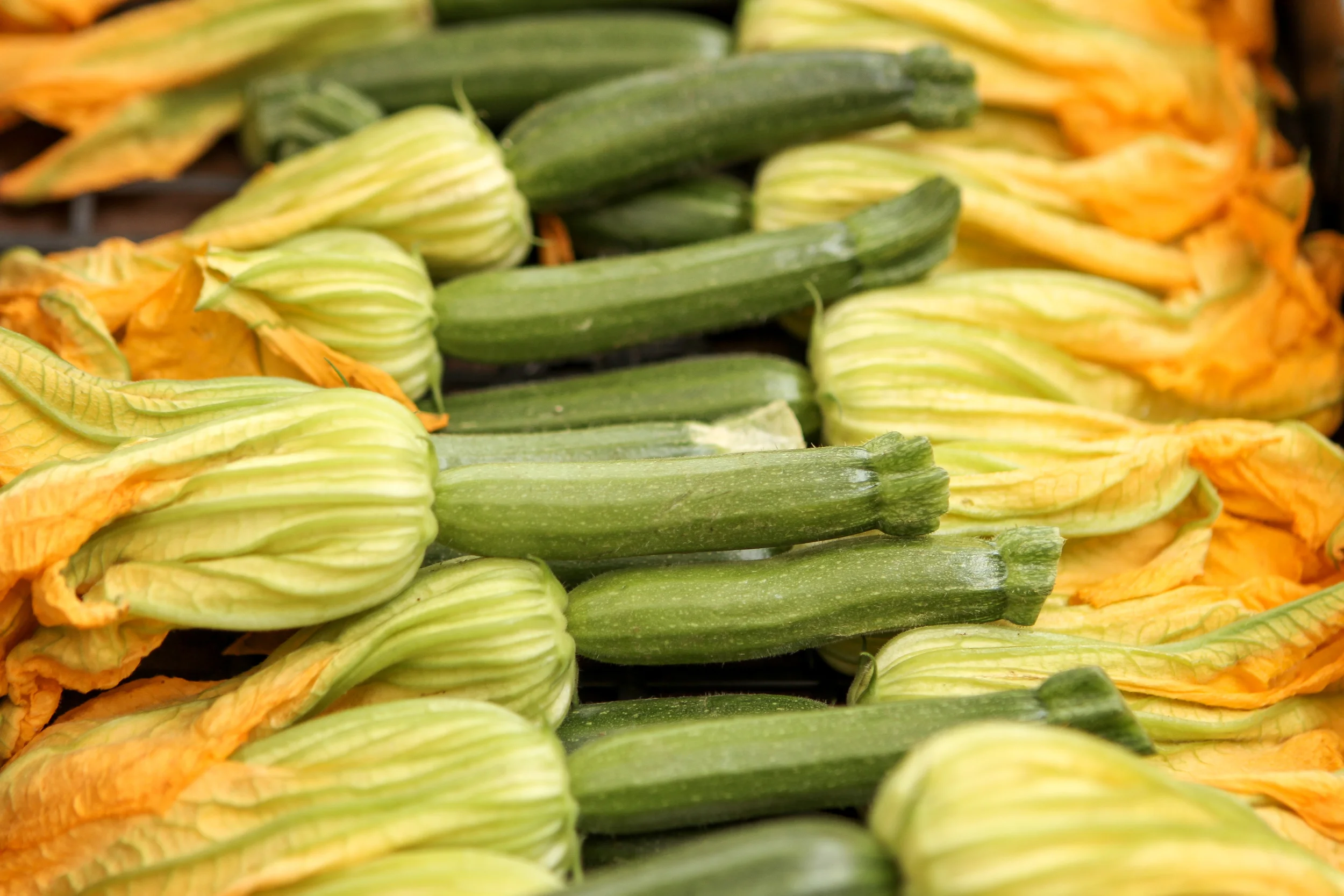 20120924-094252-IMG_4657-FG-5 Star.jpg