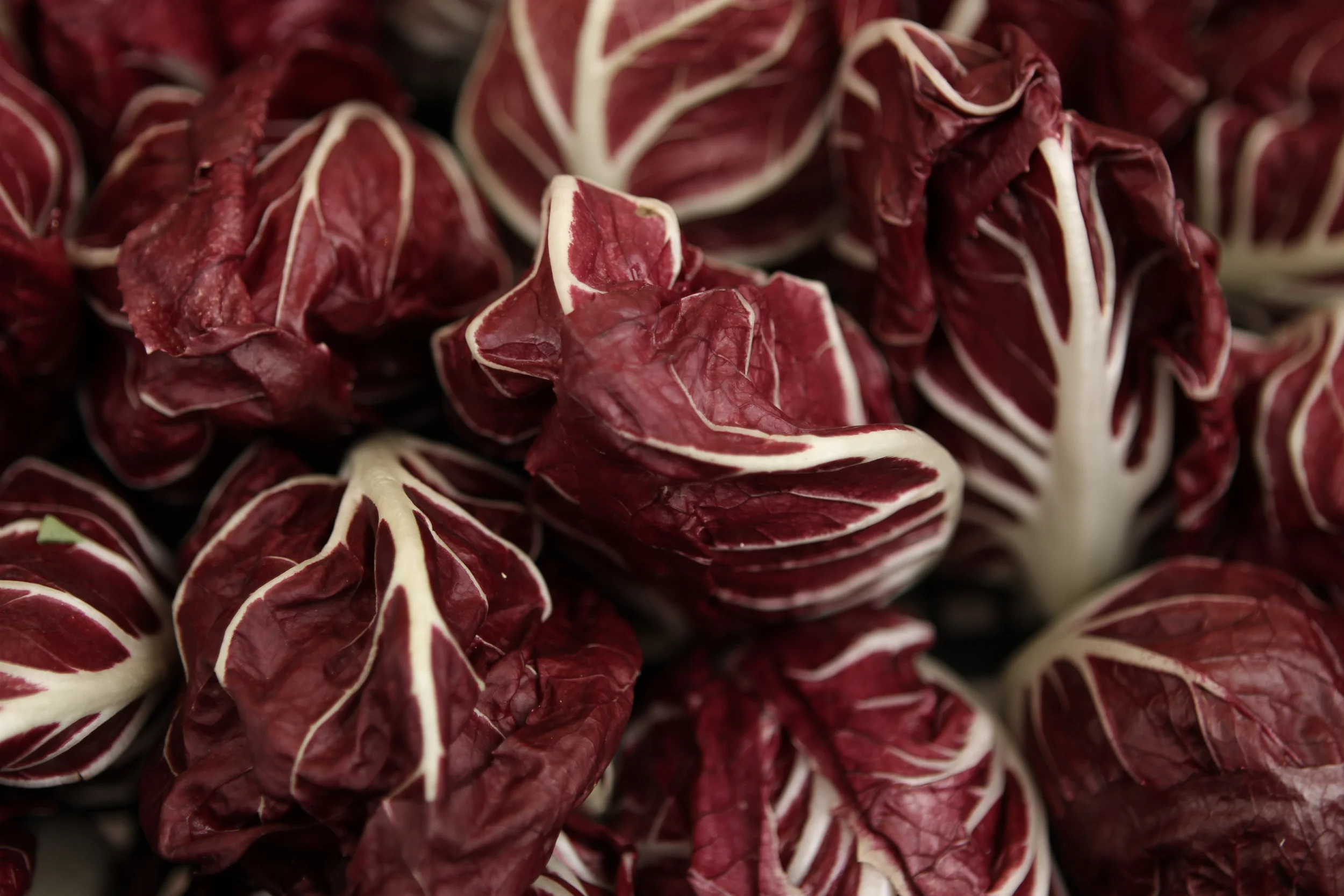 20120924-094508-IMG_4661-FG-5 Star.jpg