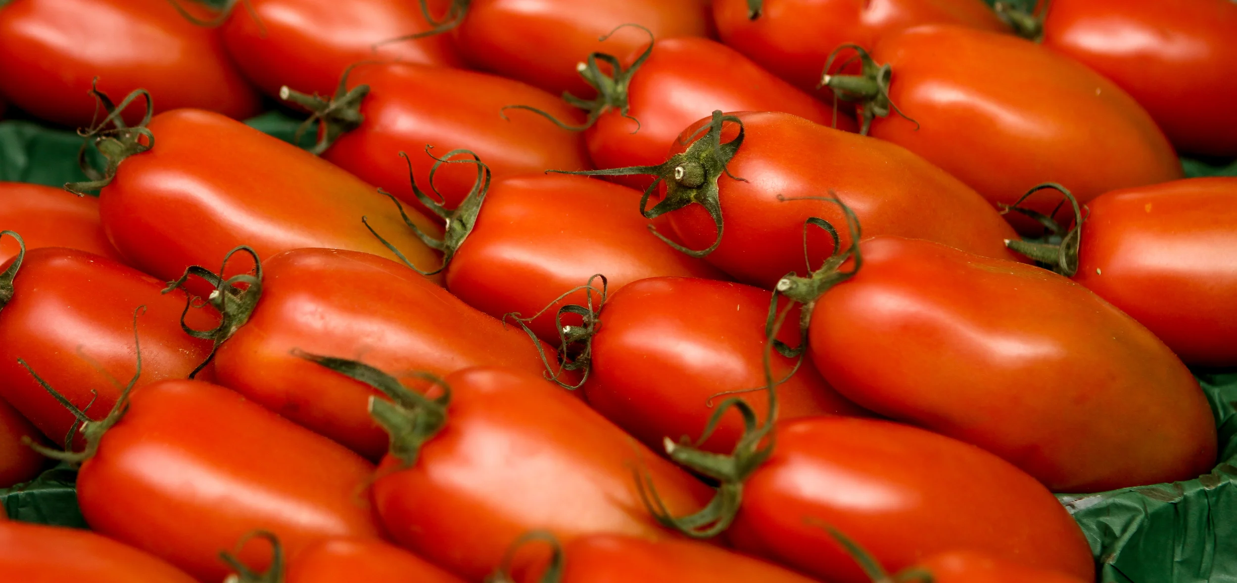 20120924-094551-IMG_4664-FG-5 Star.jpg