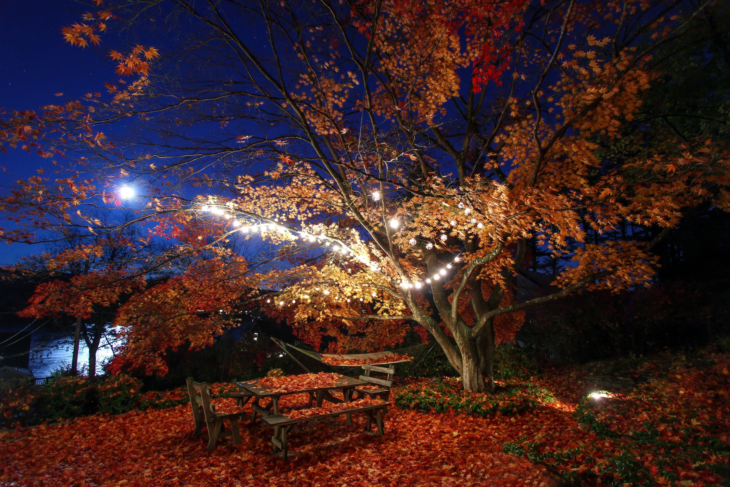 20141107-200019-IMG_0154-Edit-FG-5 Star.jpg