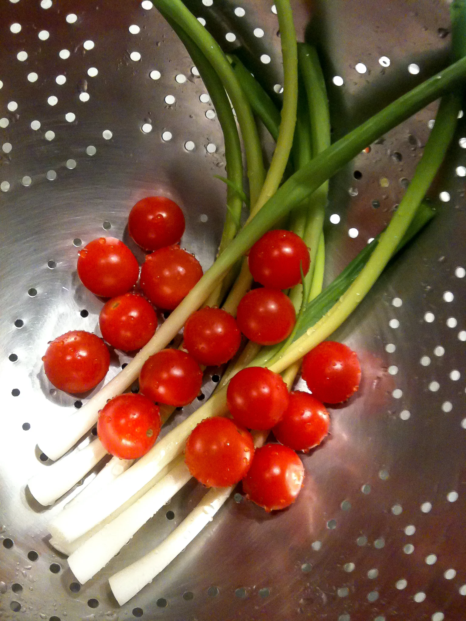 20110804-184426-IMG_0156-FG-5 Star.jpg