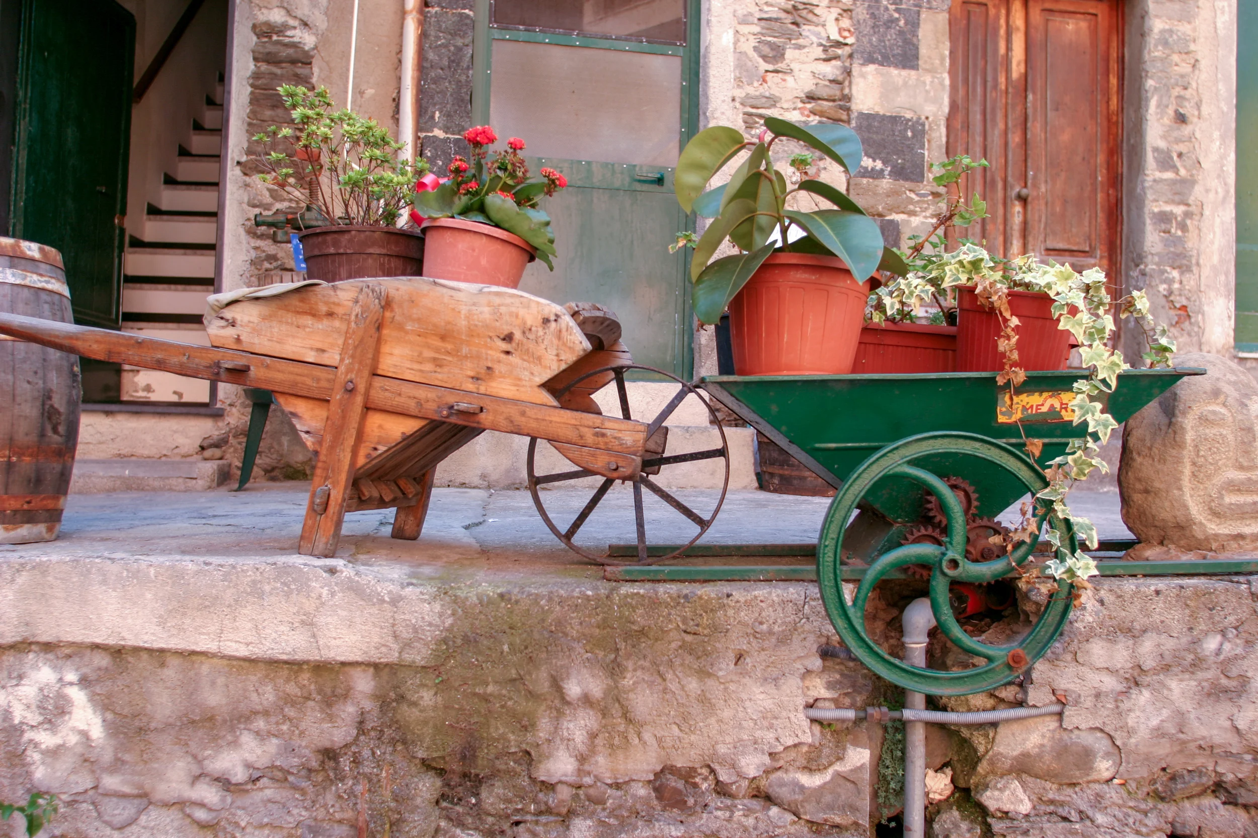 20060821-071639-IMG_0051-FG-5 Star.jpg