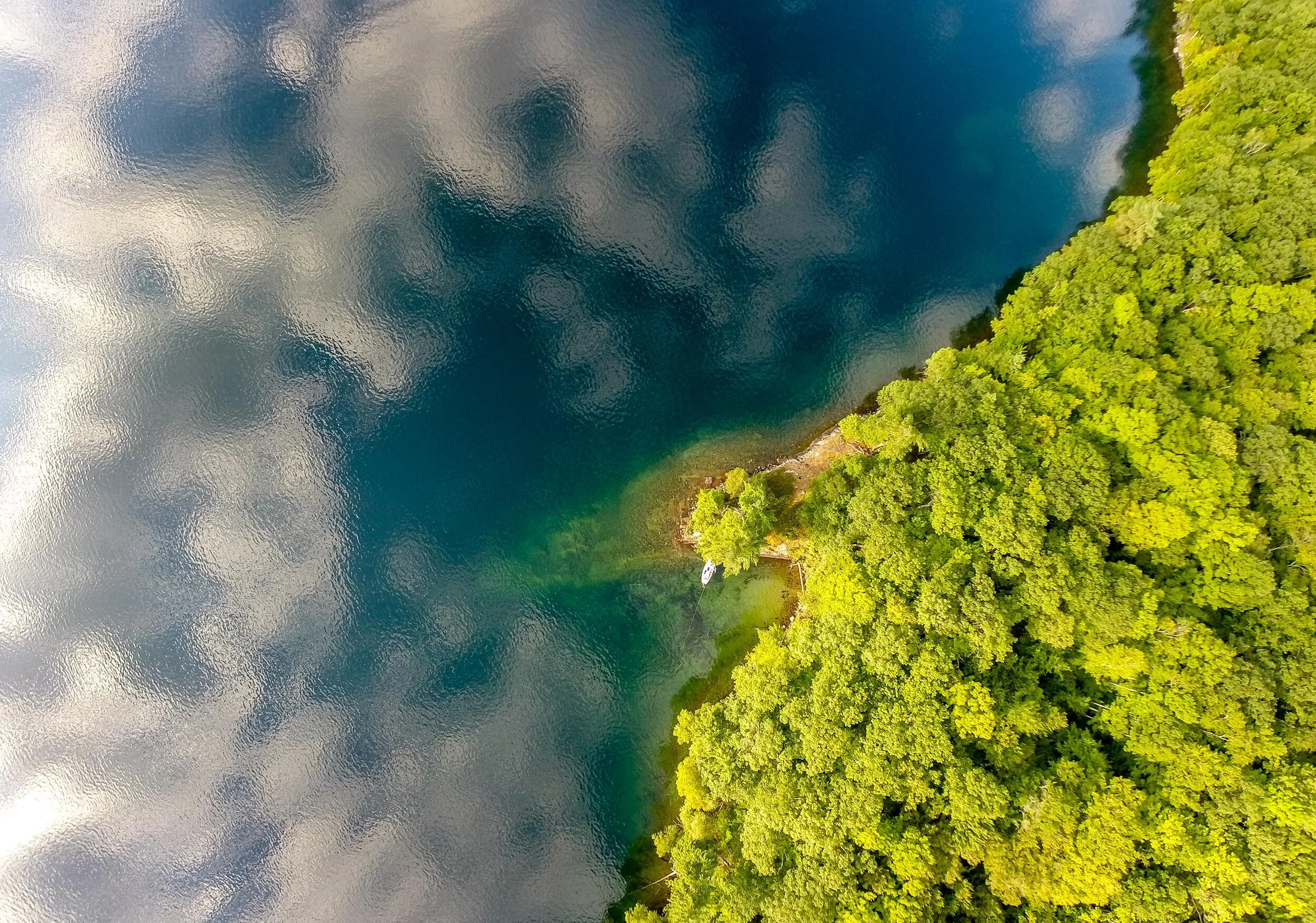 G0012146.jpg