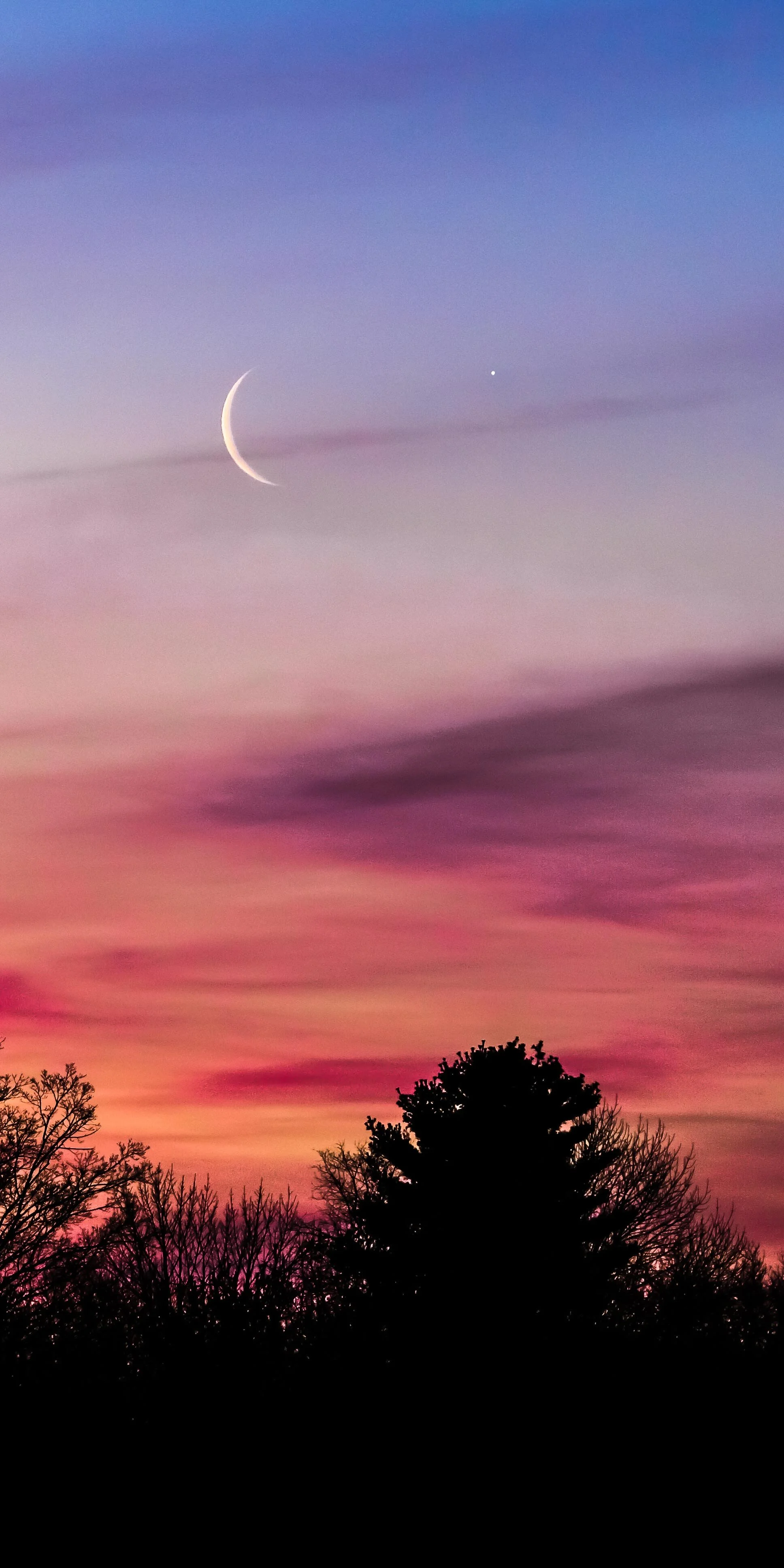 SAW10088-Edit.jpg