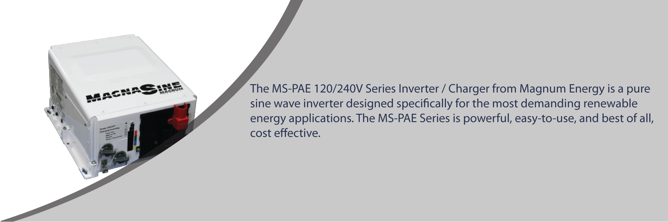 mspae_header.png