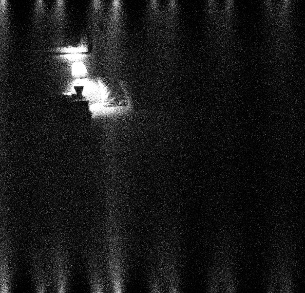 july b/w lamp
