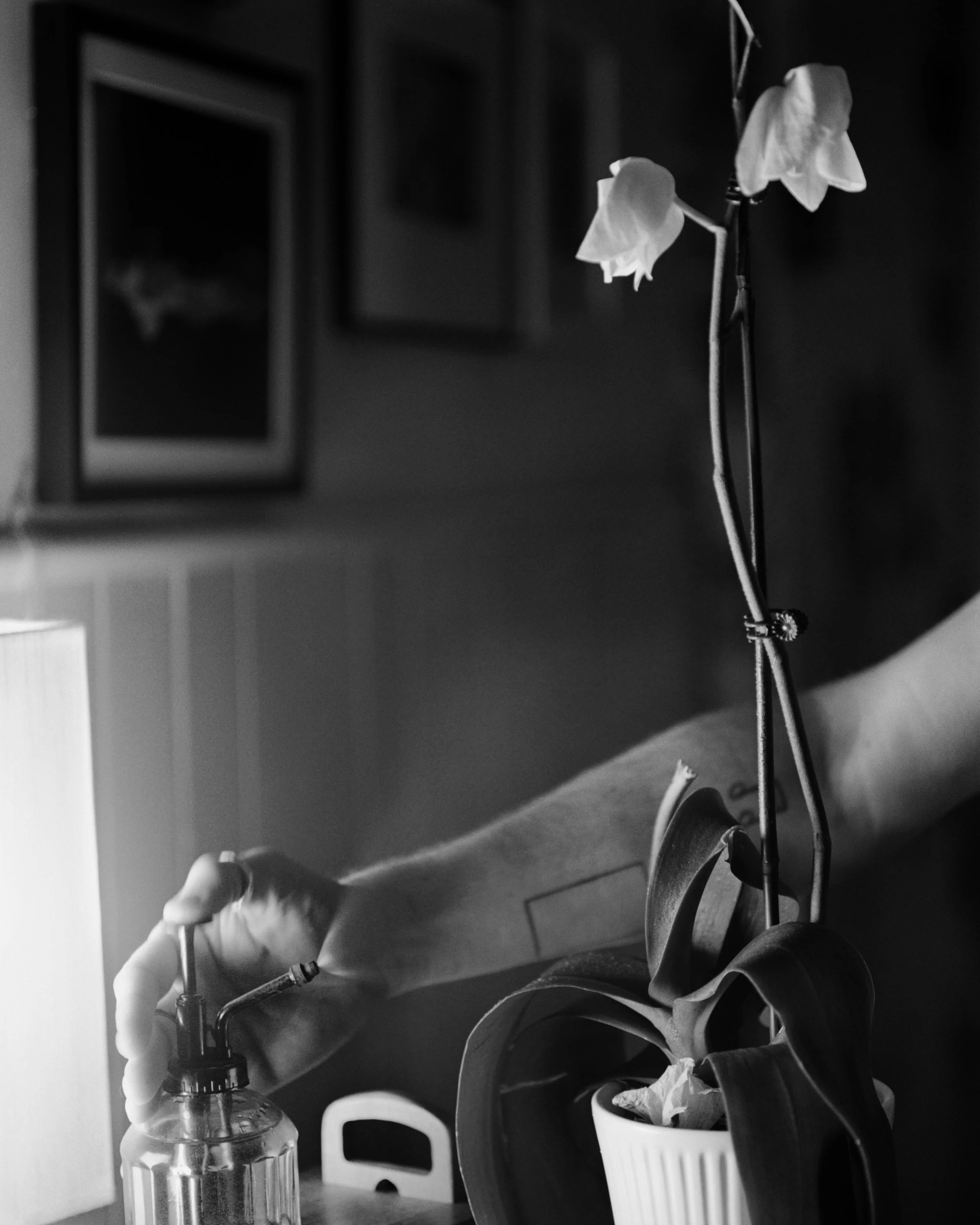 Apartment abstracts 009.jpg