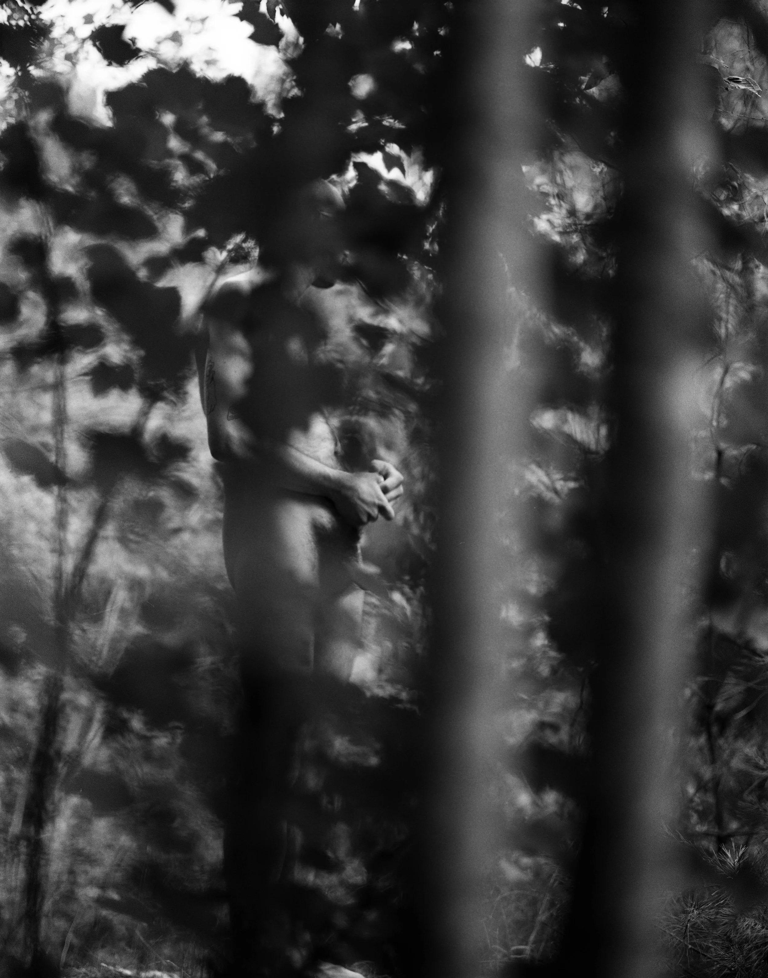 tpl july018 copy.jpg