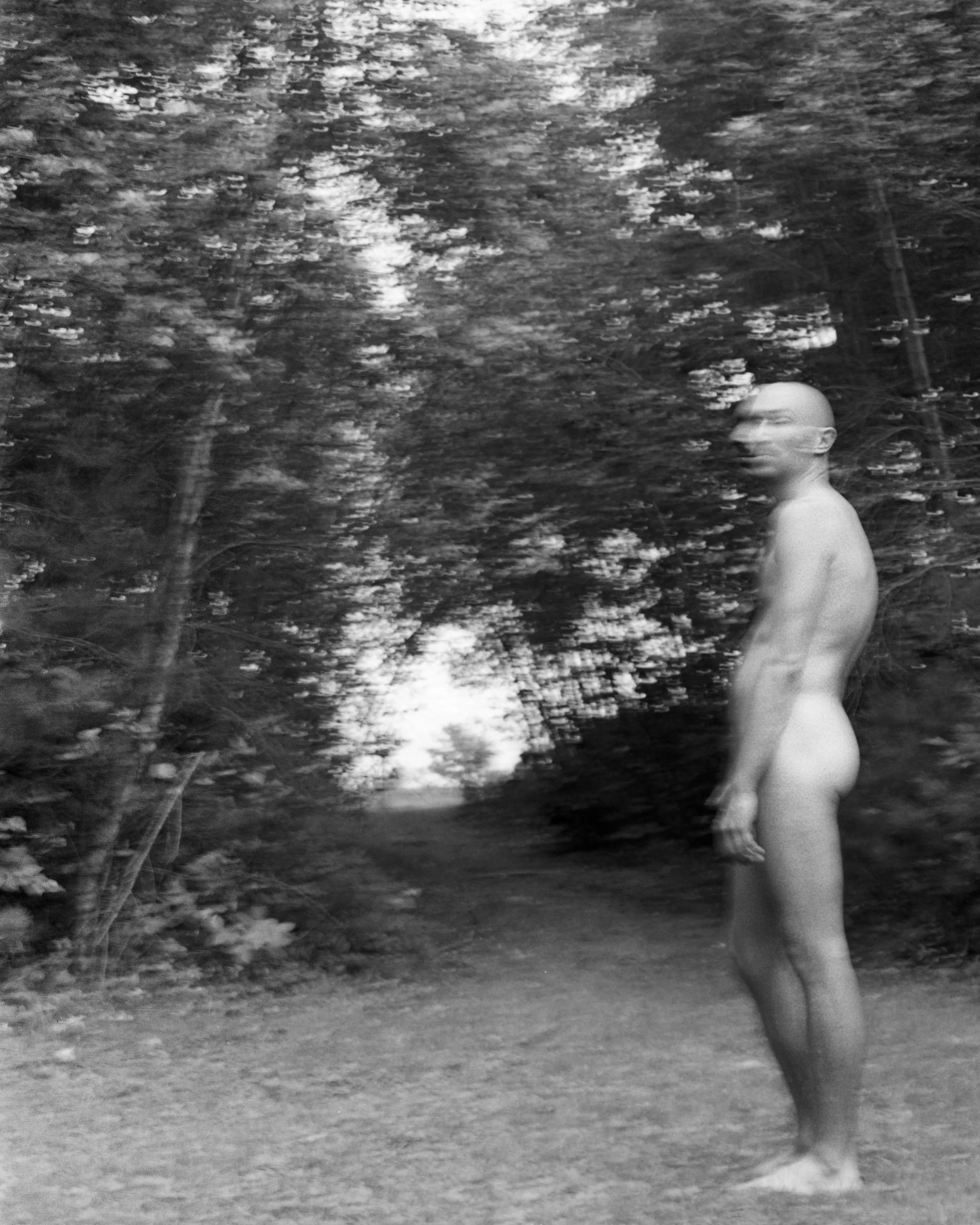 tpl july012 cropped copy.jpg