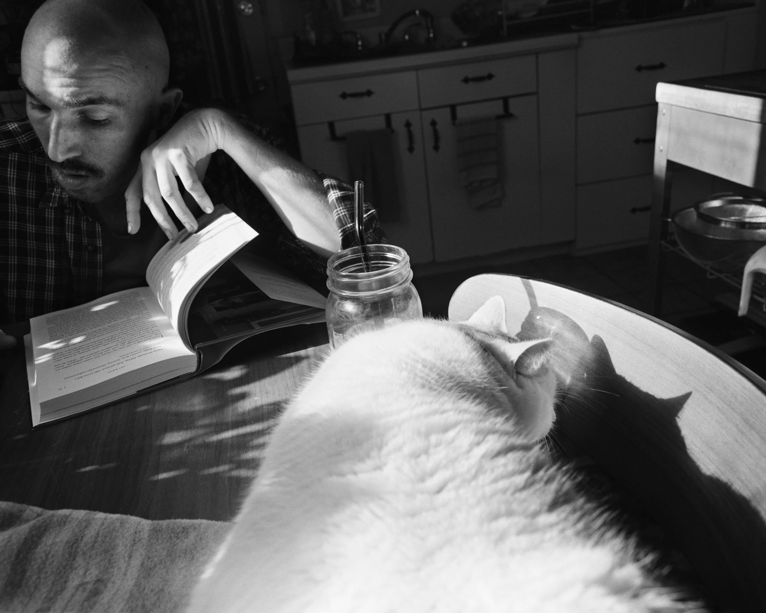 Recovery003 copy.jpg