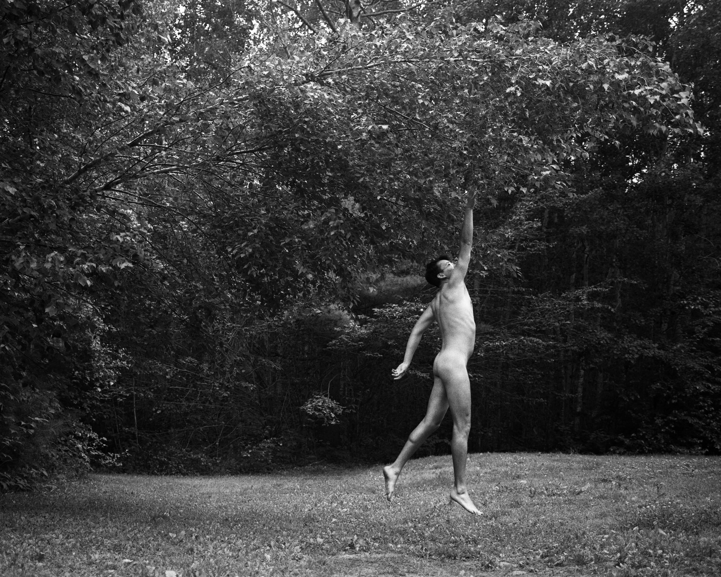 tpl july005 copy.jpg